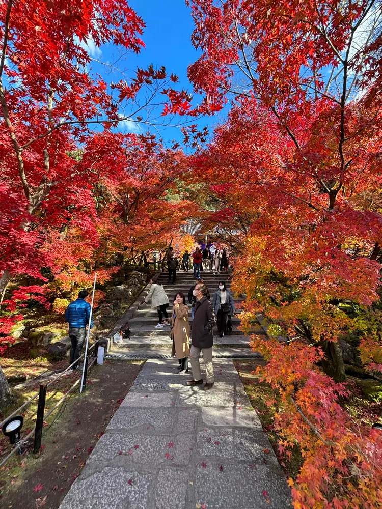Kyoto-LateAutumn — photo 1