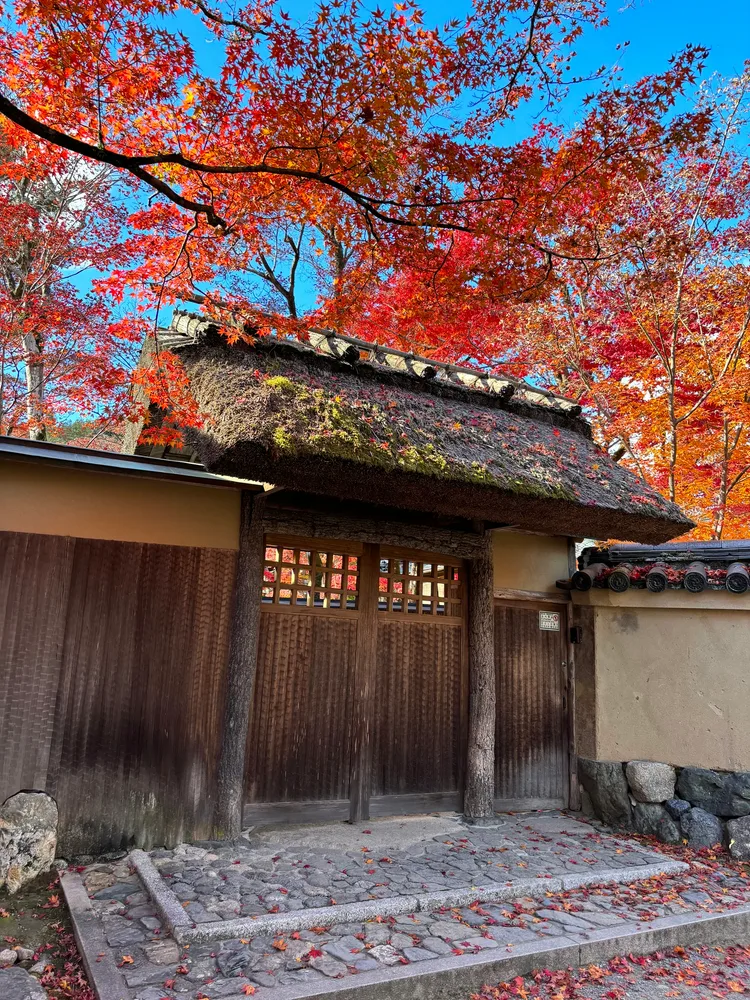 Kyoto-LateAutumn — photo 4