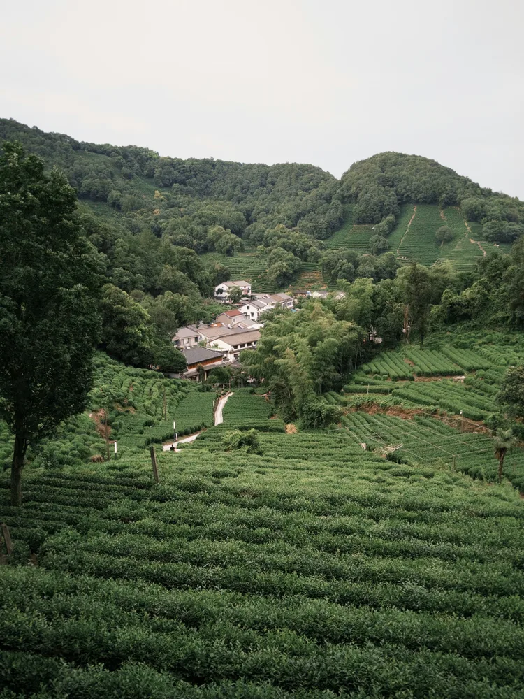 Hangzhou — photo 1