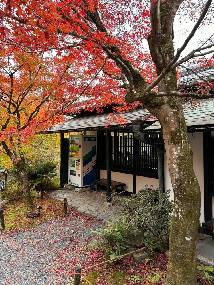 Kyoto-EarlyAutumn — photo 2
