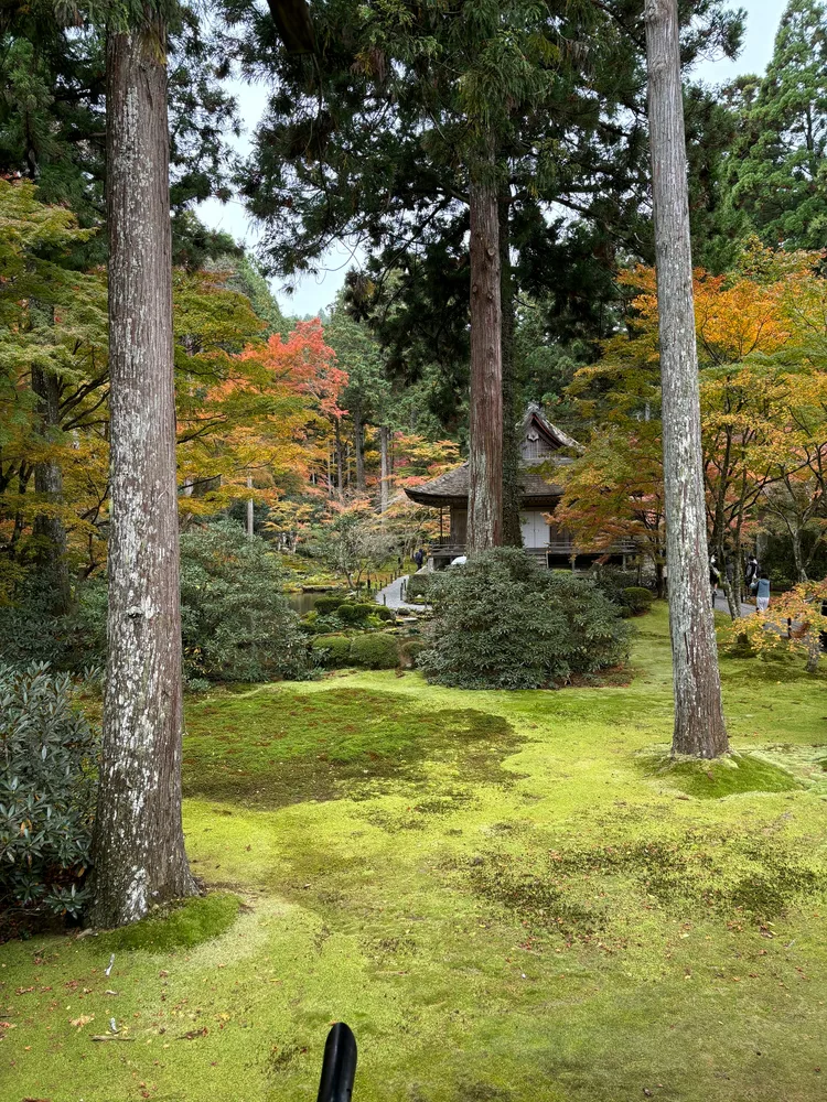 Kyoto-EarlyAutumn — photo 4
