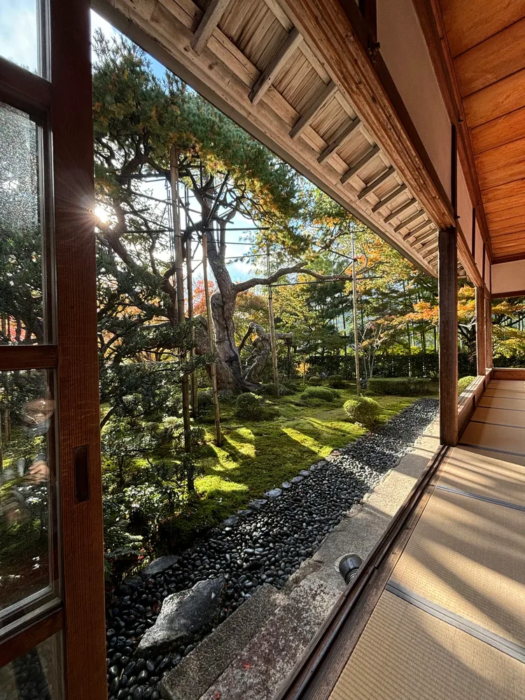 Kyoto-EarlyAutumn — photo 5