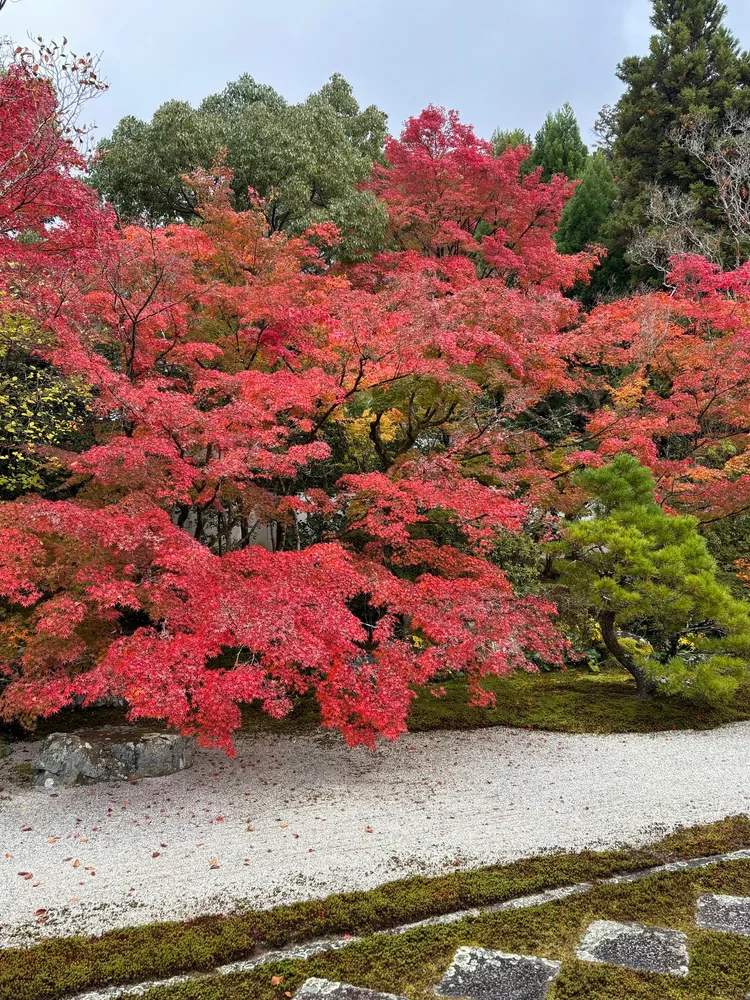 Kyoto-EarlyAutumn — photo 6